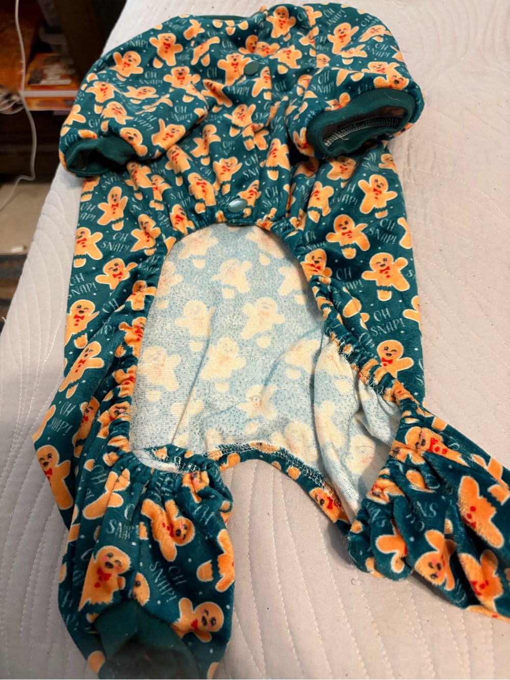 Cozy Gingerbread Print Dog Onesie - Teal